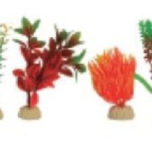 PLANTA IMPORTADA SUNNY VARIOS DISEÑOS Y COLORES 4´ (BOLSA NARANJA CON 6 PLANTAS)