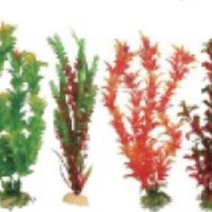 PLANTA IMPORTADA SUNNY VARIOS DISEÑOS Y COLORES 12´ (BOLSA NARANJA CON 6 PLANTAS)