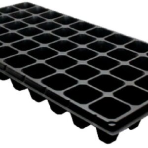 SEMILLERO CHICO ORTI #22