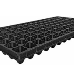 SEMILLERO ORTI GRANDE #26