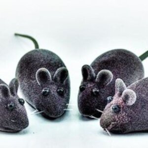 JUGUETE PARA GATOS PAWFFY RATON CON SONIDO SUNNY