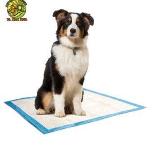 ALMOHADILLA EXTRA GRANDE ENTRENADORA PARA MASCOTAS