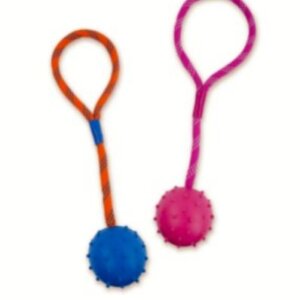 PELOTA CON PICOS. SUNNY