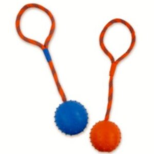 PELOTA CON SOGA. SUNNY