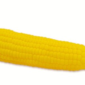 ELOTE VINIL CON SONIDO SUNNY