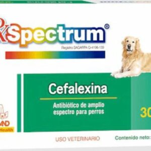 SPECTRUM CEFALEXINA DE 300 MG * TAB