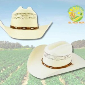 SOMBRERO TUCSON MOD. ARIZONA TAIWAN FINO RANDADO TOQUILLA CONCHOS 10CMS