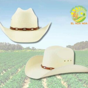 SOMBRERO TUCSON MOD. BUFALO TW FINO CERRADO BANGORA 10.5 CMS