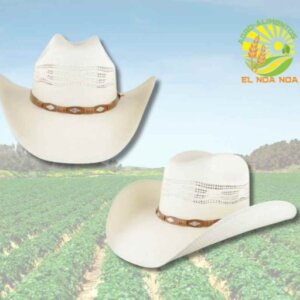 SOMBRERO TUCSON MOD. BUFALO RANDADO BANGORA TW FINO 10.5 CMS