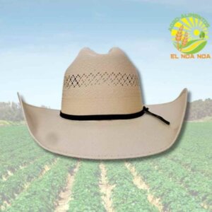 SOMBRERO TUCSON MOD.CHALLENGER PAJA RANDADO 8CMS TOQUILLA CONCHOS