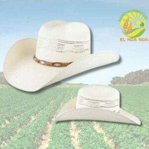 SOMBRERO TUCSON MOD. BUFALO BANGORA TW FINO CERRADO CON RIBETE  CONCHOS FINO