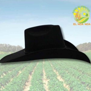 SOMBRERO TUCSON MOD. CHALENGER TW TRICOLOR 12CM TRIPLAYE NEGRO