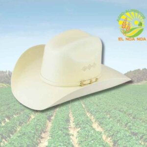 SOMBRERO TUCSON MOD. SONORA TELAR FINO TALLAS SURTIDAS