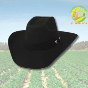 SOMBRERO TUCSON EST. TEXANA LANA NEGRA MOD. 8 SEGUNDOS BANGORA 10CMS