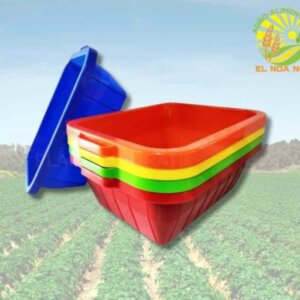 TINA RECTANGULAR CHICA PLASMEJ #13