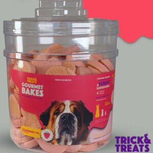 GALLETAS TRICK & TREATS PAQ DE 1KG SABOR PAY DE FRESA