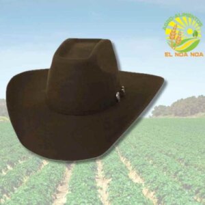 SOMBRERO TUCSON EST. TEXANA LANA CAFE MOD. 8 SEGUNDOS 10.5 CMS