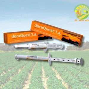 DORAQUEST LA X 6.84 G GEL ORAL DORAMECTINA ANTIHELMETICO Y DESPARACITANTE