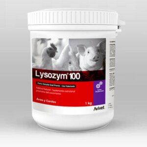 LYSOZYM 100 40 SOBRES X 15 G C