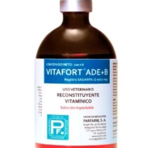 VITAFORT ADE + B  DE 500 ML INY. SUPLEMENTO VITAMINICO