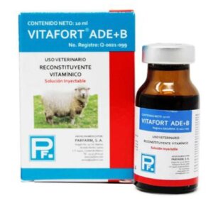 VITAFORT ADE+B 10 ML INY SUPLEMENTO VITAMINICO Y RECONSTITUYENTE