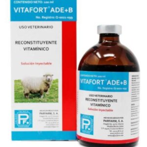 VITAFORT ADE+B DE 100 ML INY SUPLEMETNO VITAMINICO Y RECONSTITUYENTE