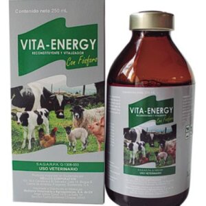 VITA-ENERGY 250 ML. RECONSTITUYENTE Y VITALIZADOR,   BUTAFOSFAN, VITAMINA B12