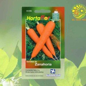 SOBRE DE SEMILLA DE ZANAHORIA  KAANCHE