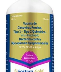 FOSTERA GOLD PCV MH 50 DS *VACUNA CIRCUVIRUS PORCINA